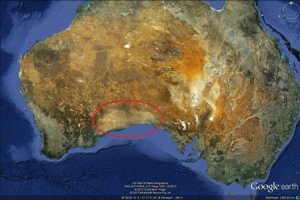 Nullarbor.jpg