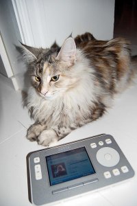 bella med sonos.jpg
