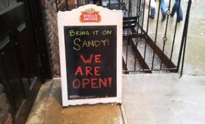 Sandy.jpeg
