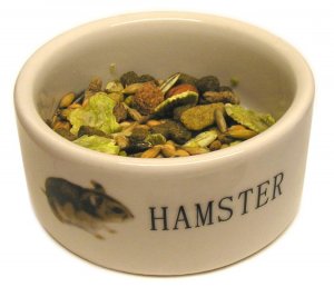 hamster-food-bowl.jpg