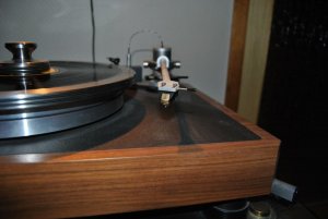 DSC_0152.jpg