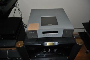 DSC_0307.jpg