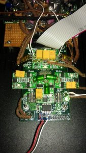 IMAG0204.jpg