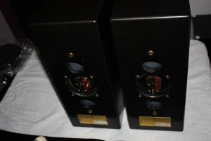 IMG_3260.jpg
