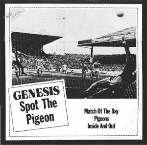 spot the pigeon.jpg