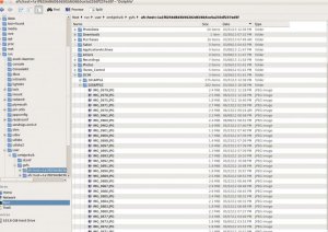Screenshot from 2013-03-31 17:44:22.jpg