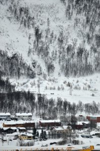 DSC_6294_01.jpg