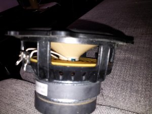 20130320_124409.jpg