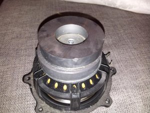 20130320_124330.jpg