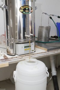 IMG_5554.jpg