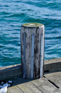 DSC_6302.jpg