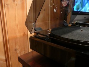 P1000412 (Small).JPG