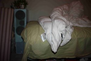 IMG_1687.jpg
