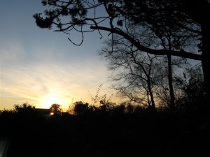 IMG_0786 (Medium).JPG