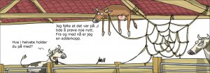 WM_strip_20100823.jpg