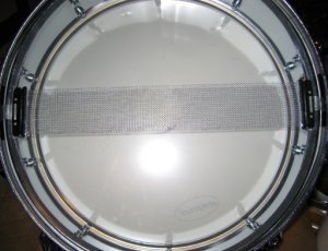 Snaresondrum.jpg