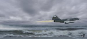 Fly 5.jpg