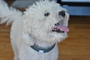DSC_0328.jpg