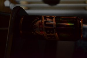 DSC_0029.jpg