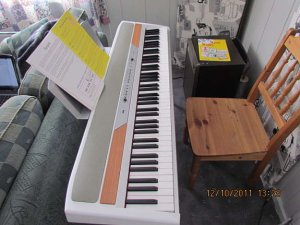 60_150137960korgsp250.jpg