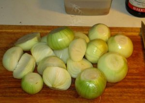 IMG_4510.jpg