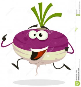 cartoon-happy-turnip-character-running-29225851.jpg