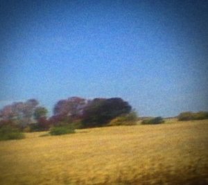 Sun-Kil-Moon-Benji-500x444.jpg