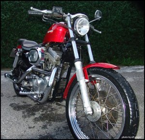 sportster_1200_evo_ulf_greger.jpg