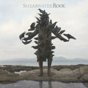 Shearwater_rook.jpg