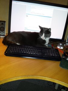20140304_233255.jpg