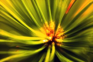 L1002501-Edit.jpg