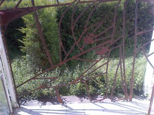 IMG-20140611-02262.jpg