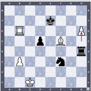Magnus 58. h6.jpg