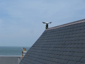 IMG_0303.JPG