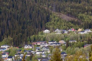 IMG_7258.jpg