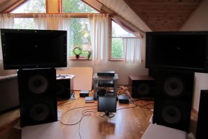 Horn og JBL 2226 002 (Large).jpg