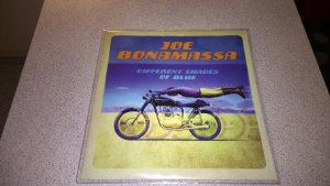 Joe Bonamassa-Different Shades Of Blues.jpg