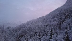 DSC_0297.jpg