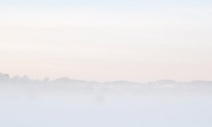 DSC_8624_1024.jpg