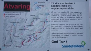 t3.jpg