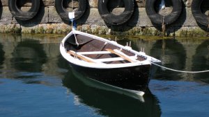 IMG_2098.jpg