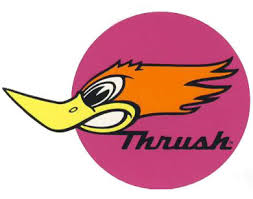 thrush.png