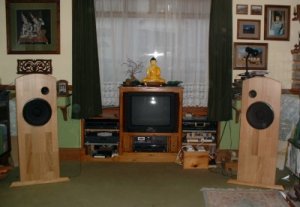 gobinroom.jpg
