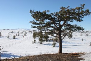 IMG_1532b.jpg