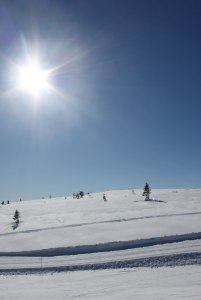 IMG_1520b.jpg