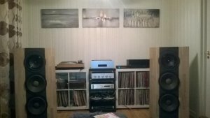 WP_20150309_001.jpg