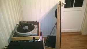WP_20150315_003.jpg