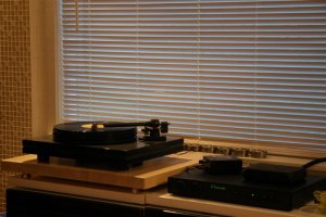Naim (Medium).jpg