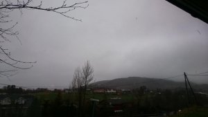DSC_0040.jpg
