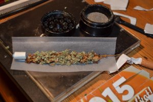 DSC_0016.jpg